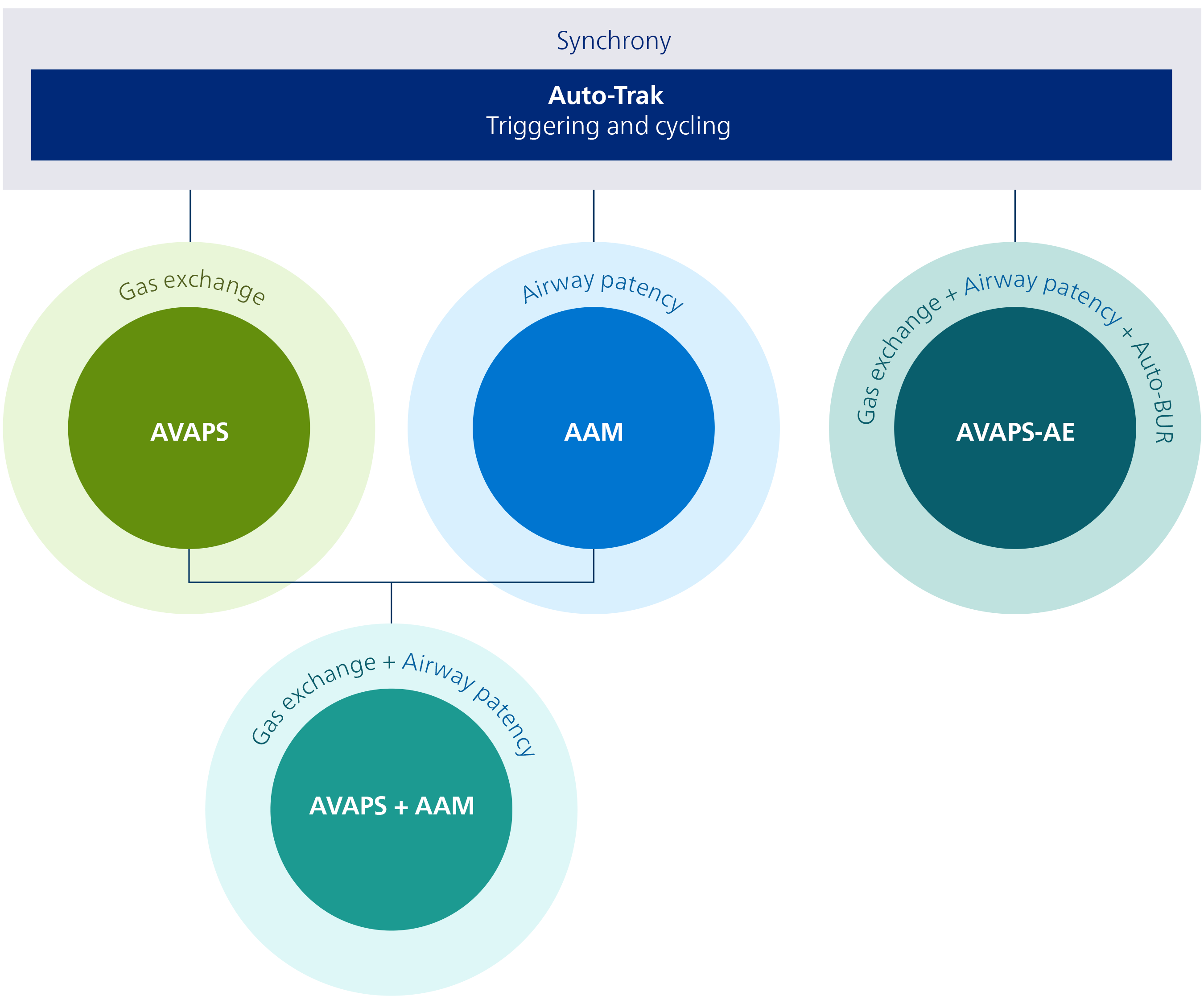 Philips AAA graphic