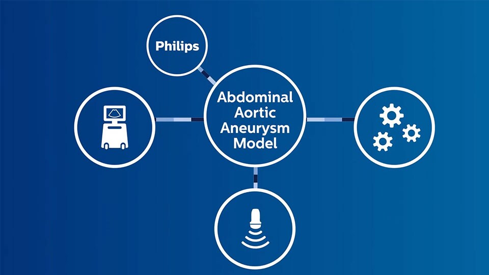 Abdominal aortic aneurysm model