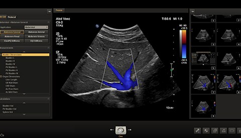 ultrasound standard format