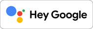 Hey Google logo